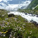 In A Quiet Location Neukirchen am Großvenediger