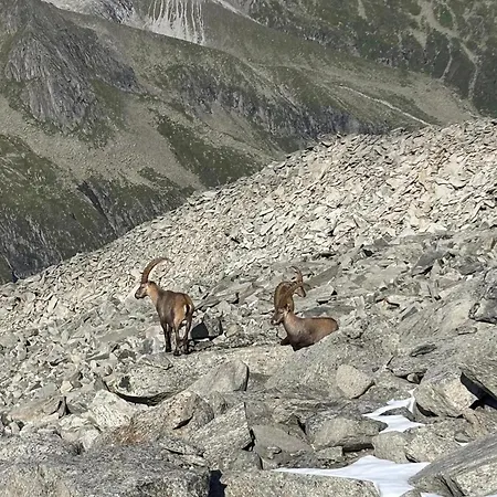 In A Quiet Location Apartamento