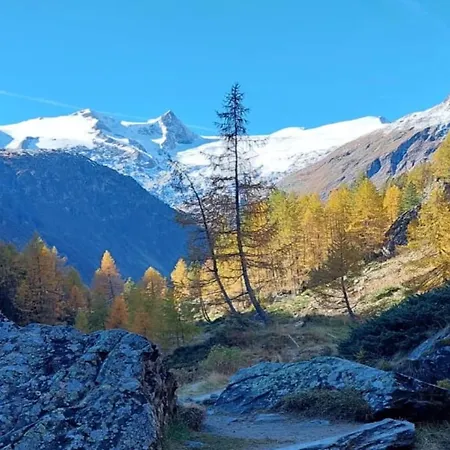 In A Quiet Location Near Wildkogel Arena