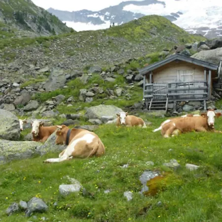 Daire In A Quiet Location Near Wildkogel Arena