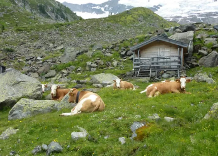 Apartment In A Quiet Location